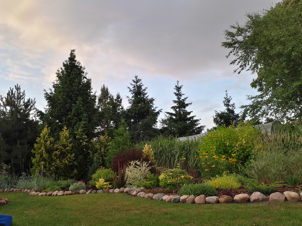 Wieczorną porą. Młodsza część ogrodu, rozpoczyna właśnie 3 sezon. 