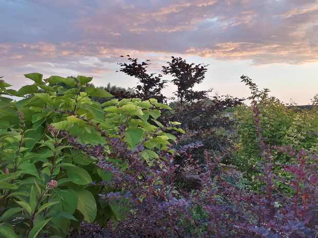 Wieczorną porą, o zachodzie słońca.