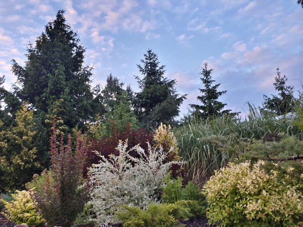 Wieczorną porą w Naszym Raju.