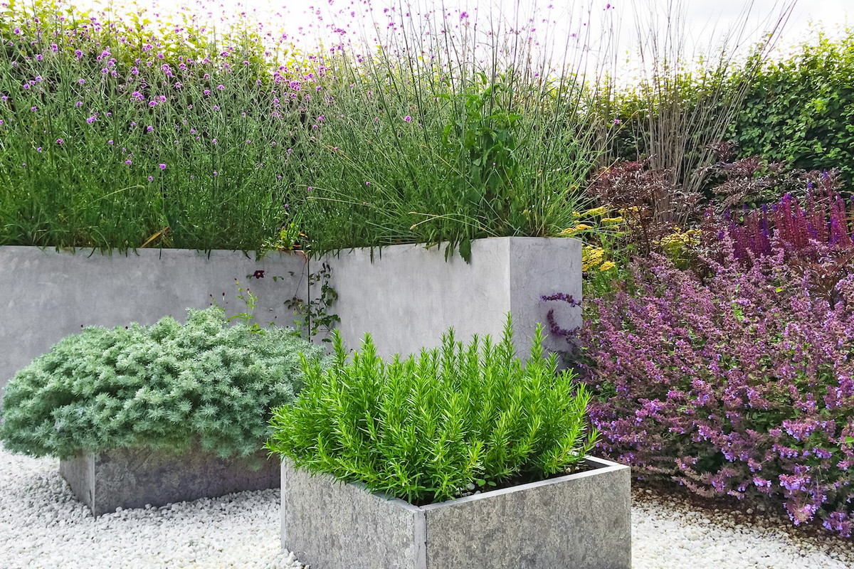 Żwir nie jest domeną wyłącznie ogrodów japońskich. Świetnie pasuje również do nowoczesnych ogrodów, dzieląc przestrzeń z donicami z betonu artystycznego oraz trawami ozdobnymi. (zdj.: Adobe Stock)