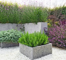 Żwir nie jest domeną wyłącznie ogrodów japońskich. Świetnie pasuje również do nowoczesnych ogrodów, dzieląc przestrzeń z donicami z betonu artystycznego oraz trawami ozdobnymi. (zdj.: Adobe Stock)