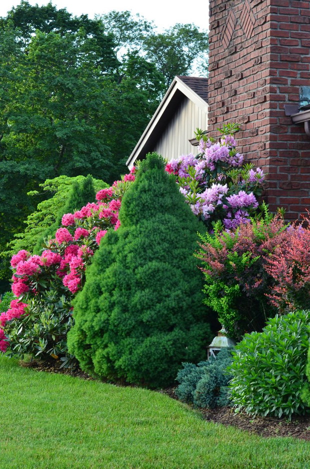 część działki od północy