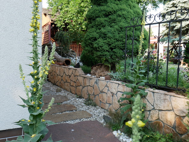 część ogrodu skalnego