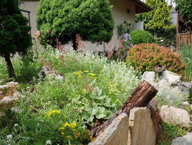 część ogrodu skalnego