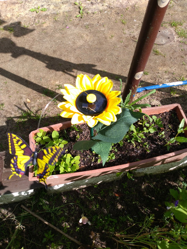 Dekoracyjny słonecznik z latającym motylem - na energię słoneczną