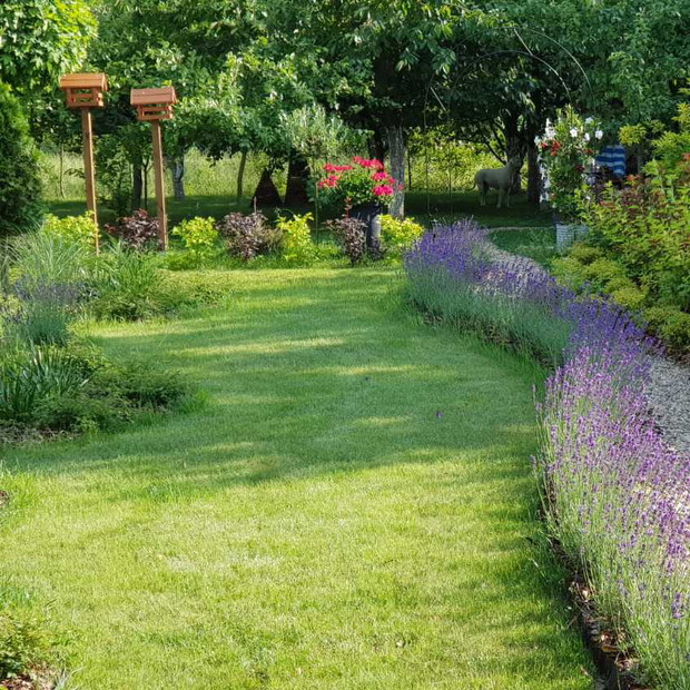 Domki dla ptaków schowane w zieleni