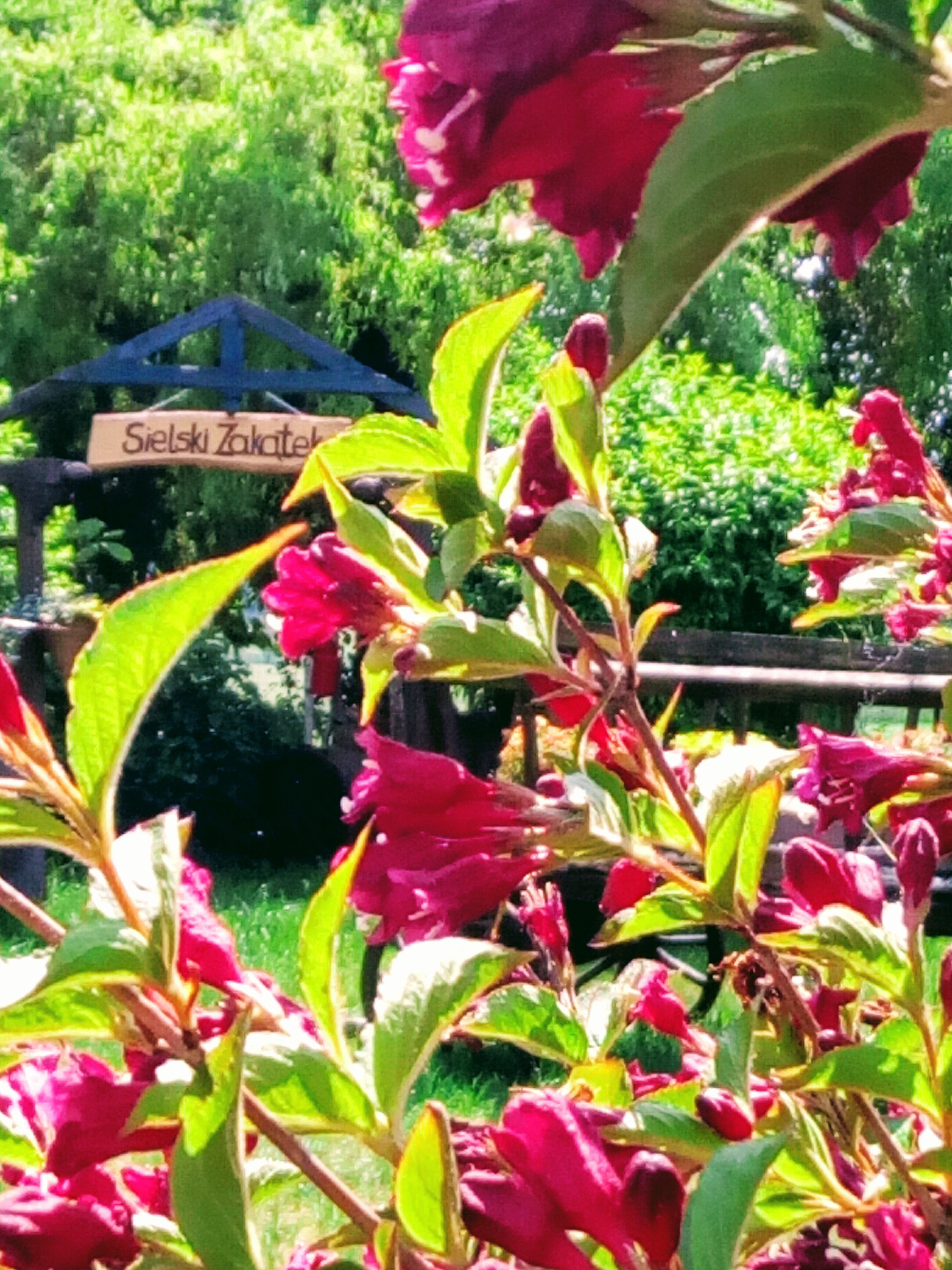 Drzwi zapraszające do Sielskiego Zakątka.