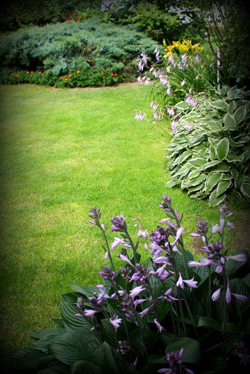 Funkie przy stolarni.