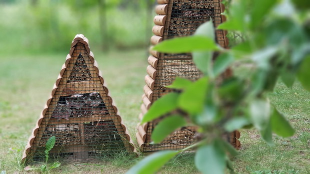 Hotele dla owadów.