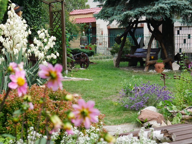 huśtawka pod świerkiem