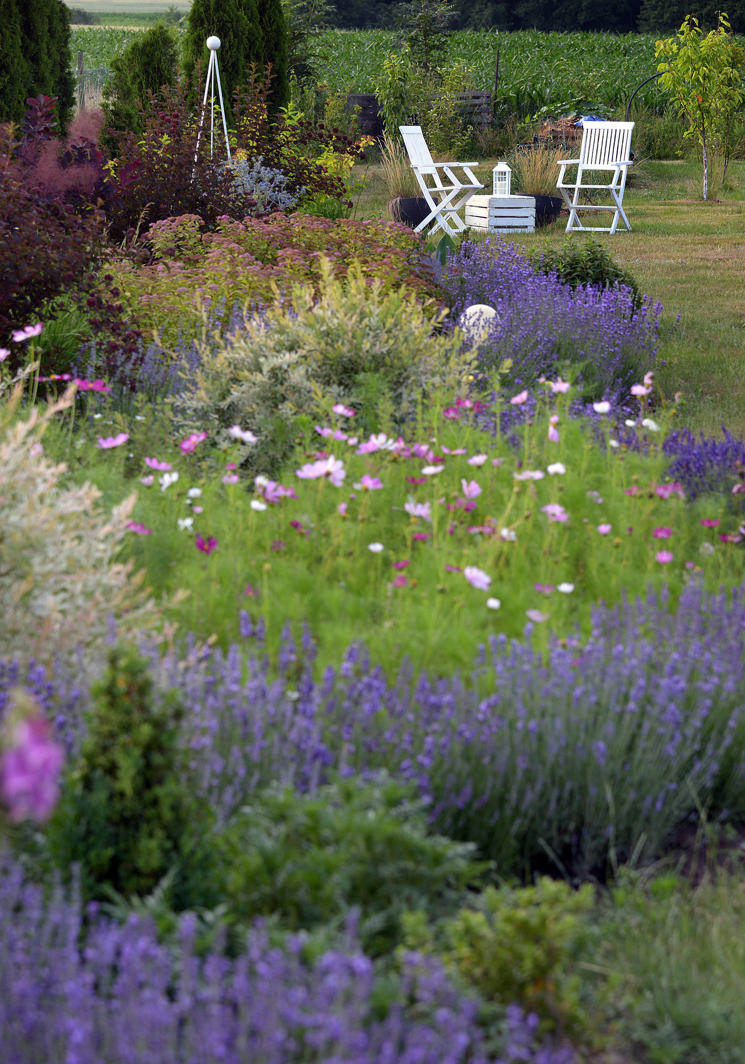 Jedna z osi widokowych w ogrodzie. Od początku rabaty oko wędruje do białych mebli z latarenką na energię słoneczną. To zaproszenie dla gościa odwiedzającego, by spoczął i napił się herbaty z mięty, która rośnie w skrzyniach za pergolami. 