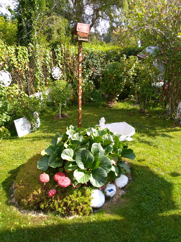 Karmnik dla ptaków i skalniak.