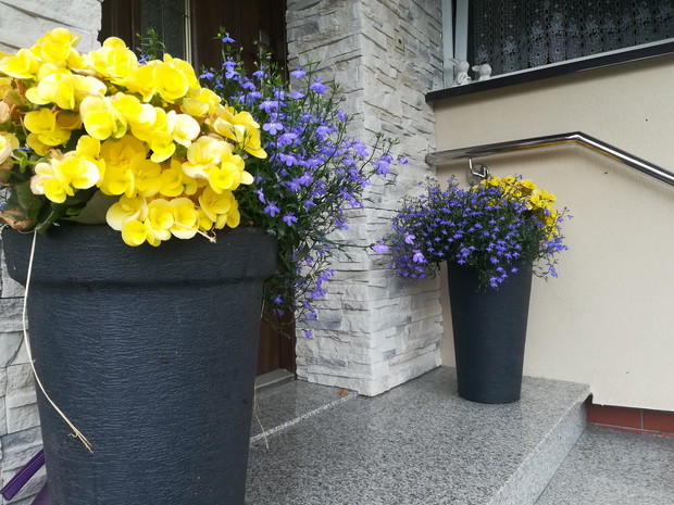 Kompozycja w jaskrawych kolorach. 