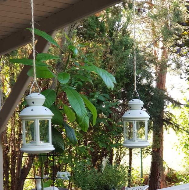 Lampiony w zestawieniu z zielenią zawsze stanowią wartość dodaną