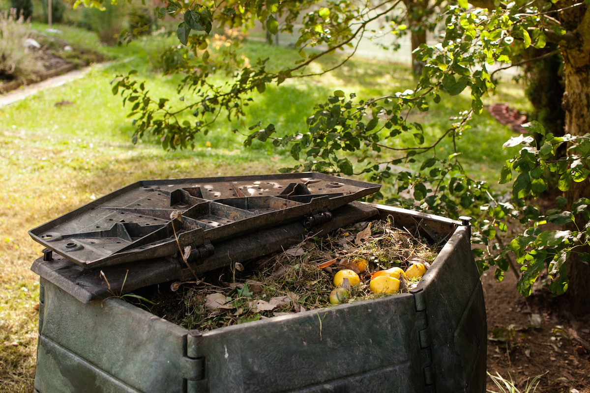 Łatwym sposobem na uzyskanie organicznego nawozu jest kompostownik, w którym rozkładają się odpady - resztki jedzenia czy ścięte rośliny. (zdj.: Adobe Stock)