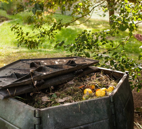 Łatwym sposobem na uzyskanie organicznego nawozu jest kompostownik, w którym rozkładają się odpady - resztki jedzenia czy ścięte rośliny. (zdj.: Adobe Stock)