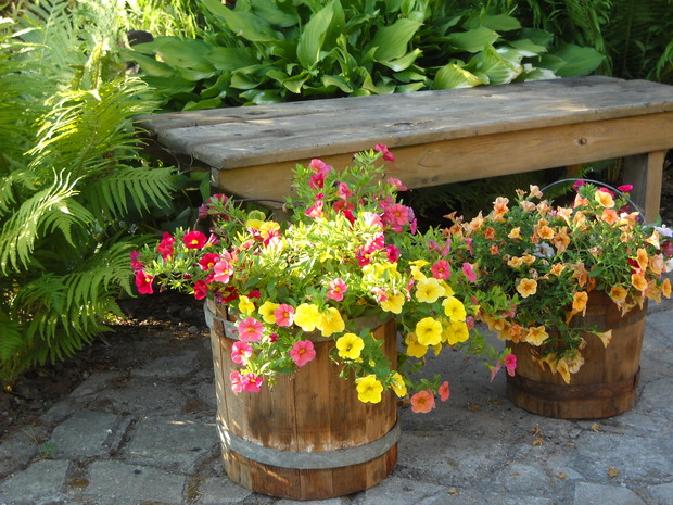 Ławeczka nad stawkiem.