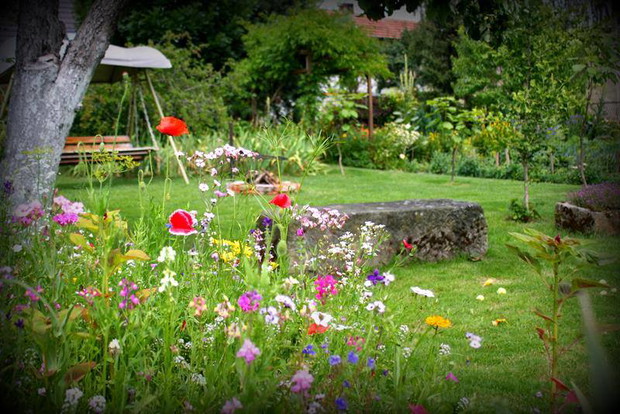 Miejsce do grillowania