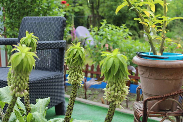 Mój kącik gdzie się relaksuję z innego ujęcia