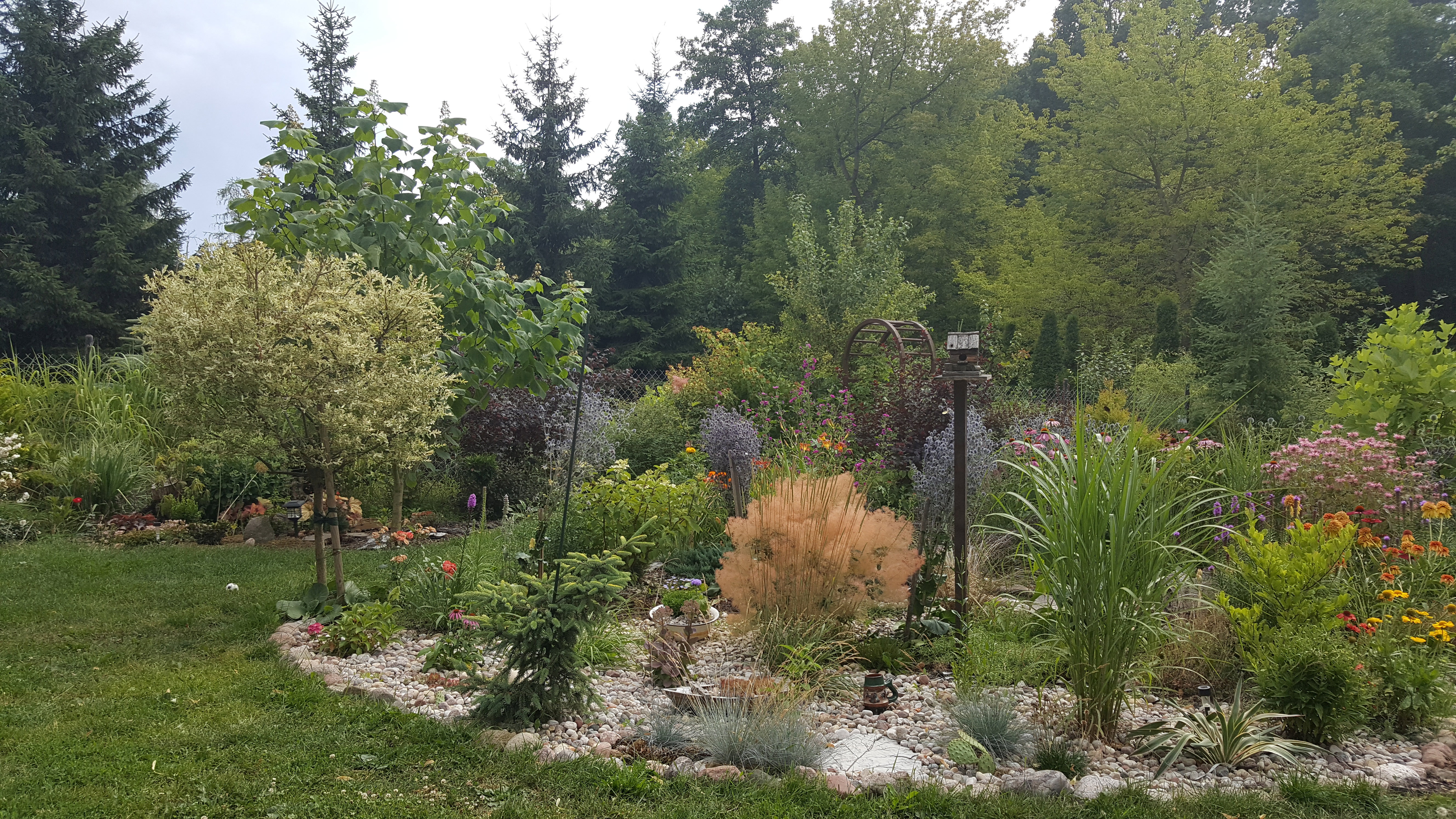 Mój ogród , moja pasja.