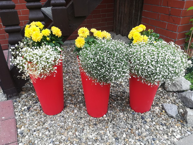 Mój pomysł na kompozycje przy schodach na taras