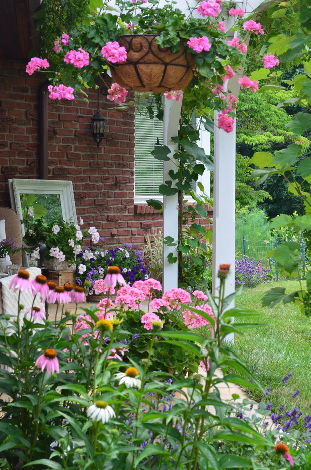 Mój zielony zakątek :))