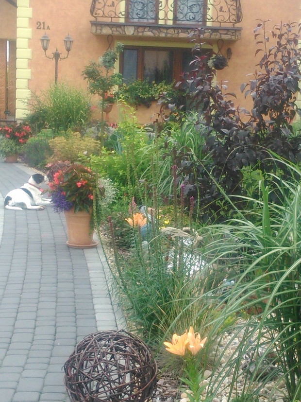 Moja kolorowa rabata.