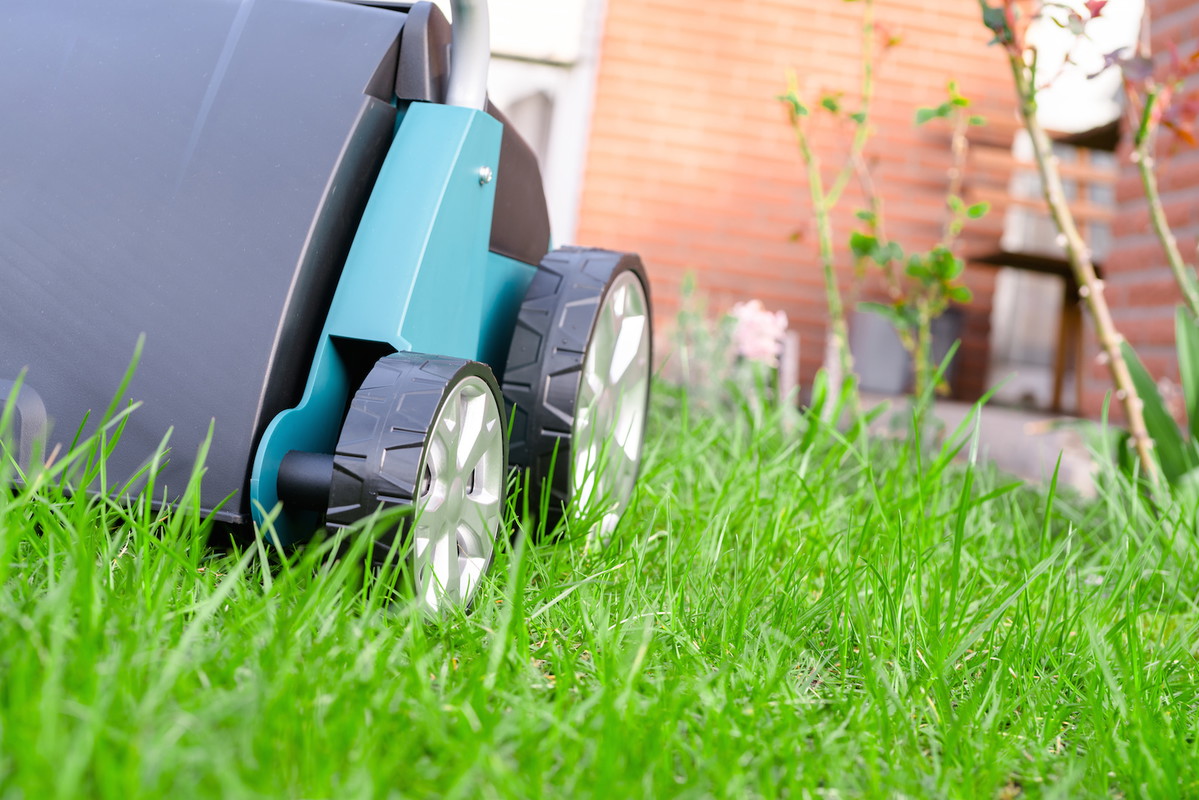 Najwygodniej jest przeprowadzić wertykulację za pomocą wertykulatora - czy to spalinowego czy elektrycznego. (zdj.: Adobe Stock)