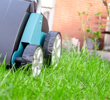 Najwygodniej jest przeprowadzić wertykulację za pomocą wertykulatora - czy to spalinowego czy elektrycznego. (zdj.: Adobe Stock)