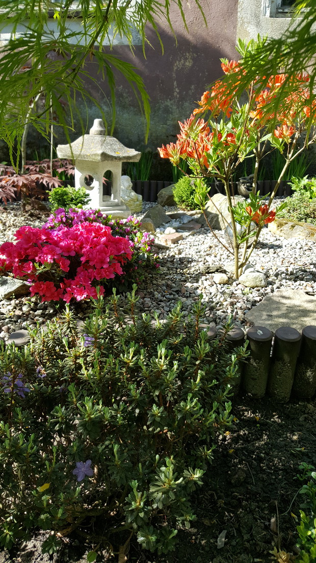 Namiastka ogrodu japońskiego