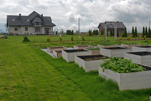 Nasz początek po zasypaniu ziemią zaczęliśmy uprawy.