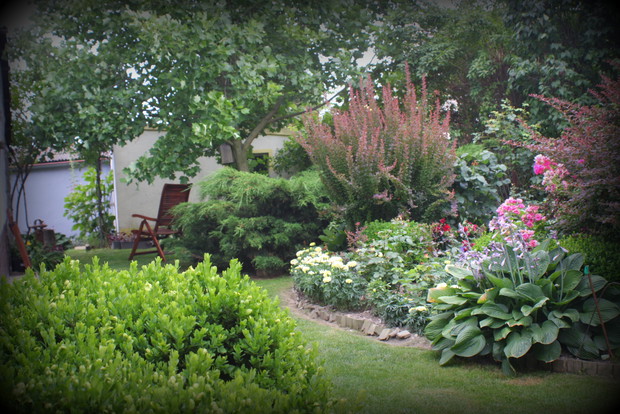 Ogród różany - lipiec