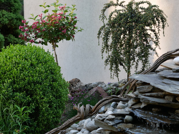 ogród skalny z kaskadą