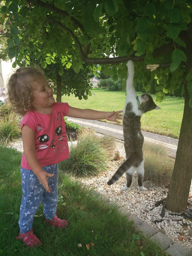 Ogród to sprzyjające miejsce również dla zwierząt. Kocimiętki i niskie drzewka szczepione ( rubinia, perukowiec, klon, wiąz) przyciągają okoliczne kotki, wiewiórki. Ogród nie jest w całości zamknięty więc pojawiają się również dzikie zwierzęta z pobliskic