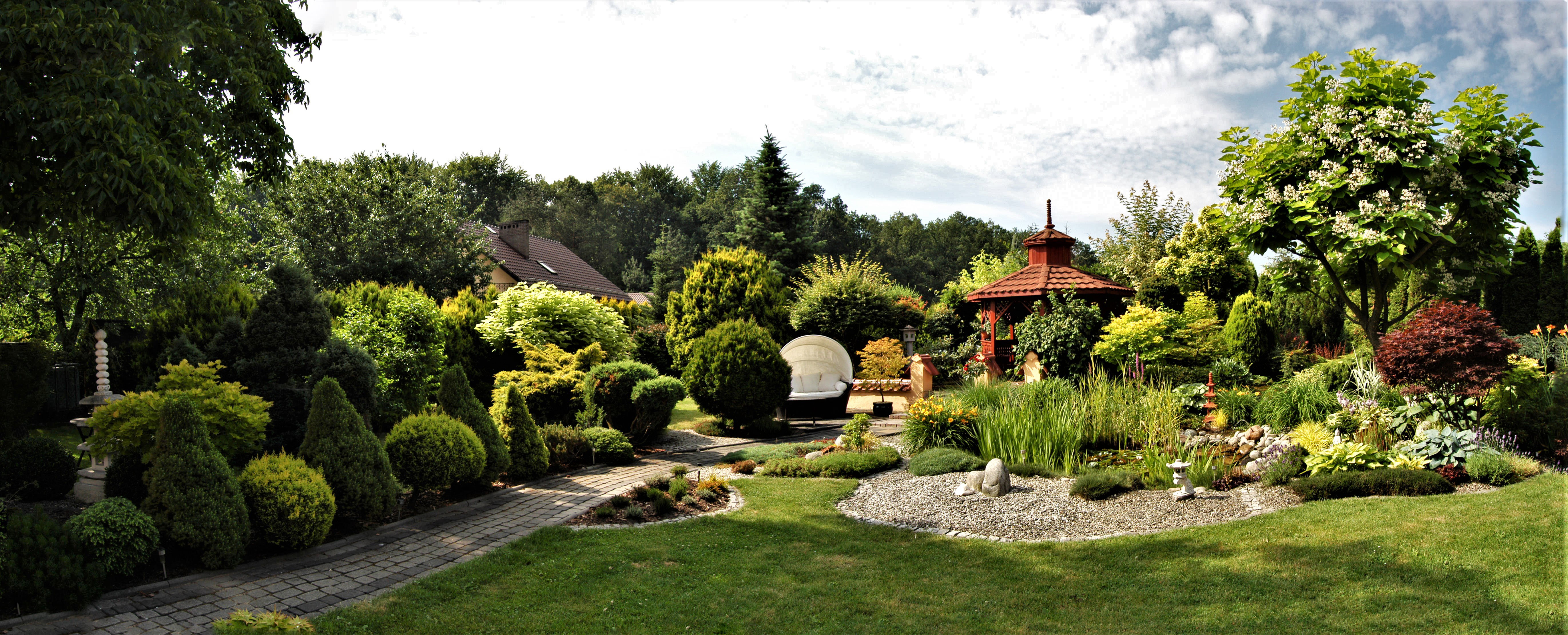 Panorama mojego ogrodu