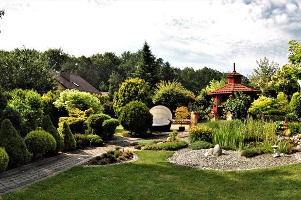 Panorama mojego ogrodu