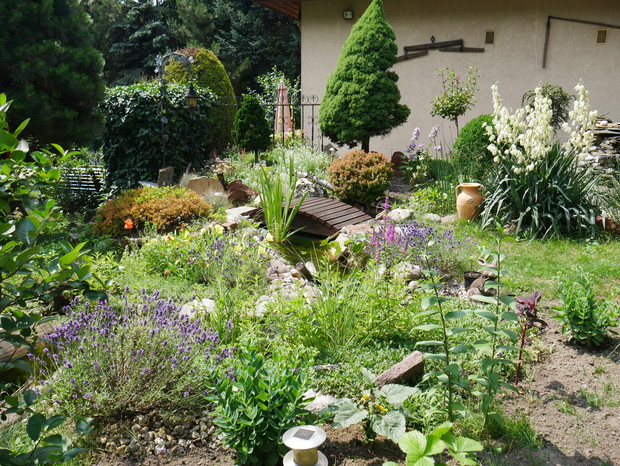 porośnięty strumyk z drewnianym mostkiem