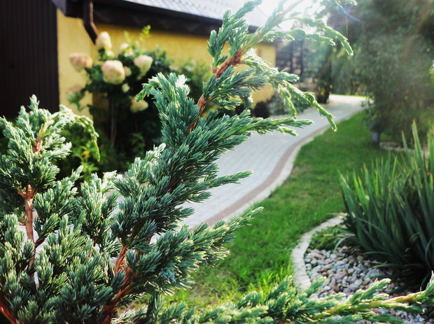 Przejście na tył ogrodu