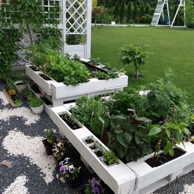 Przyroda jest lekarzem dla wszelkich chorób (Hipokrates). Dla mnie to nie tylko przenośnia. W tym roku założyłam mini ogródek ziołowy. Skrzynie zrobione z europalet. Mam w nich wiele "cennych" ziół np.: rukiew wodną, shiso dwubarwne, ziele oliwne, szp