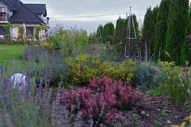 Rabata w drugą stronę do domu. Z tej strony też ważny jest widok z berberysami, lawendami i podporami dla pnączy.