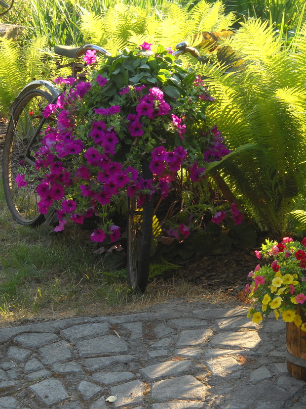 Rower "Ukraina"- kwietnik.
