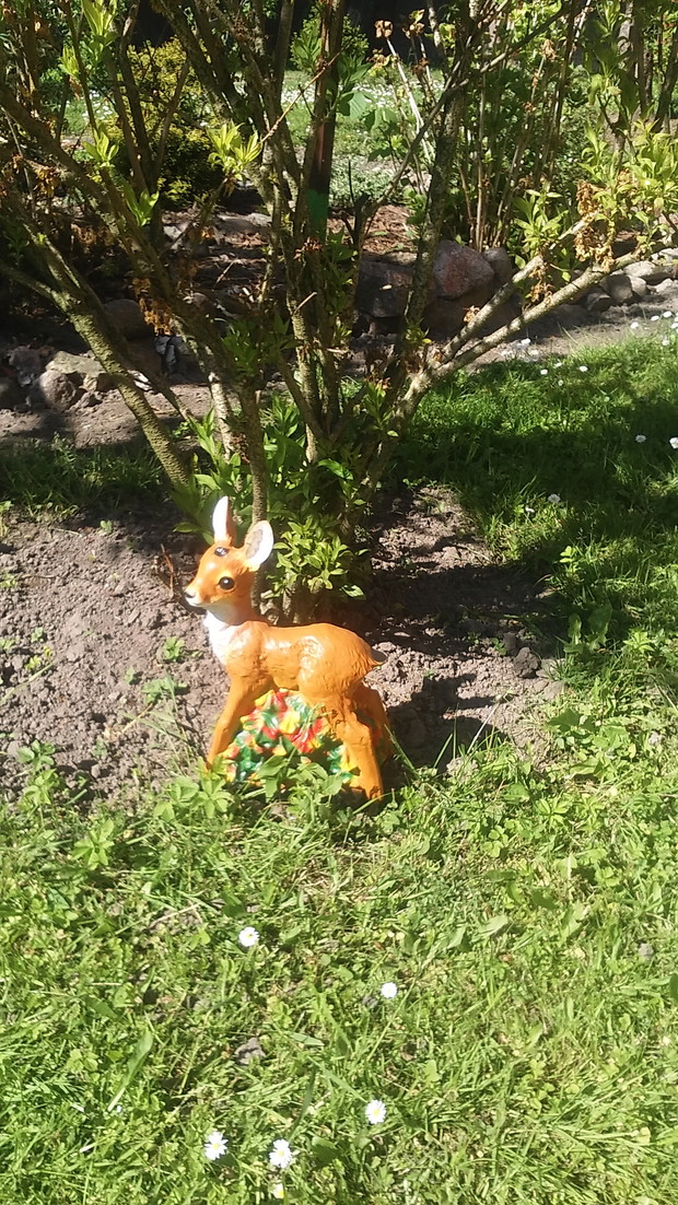 SARENKA  POD DRZEWKIEM