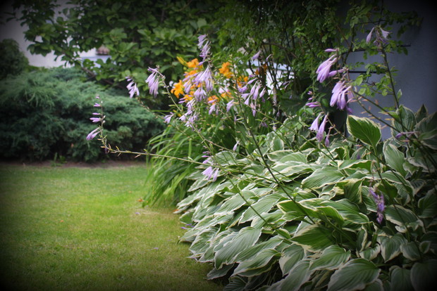 Ściana stolarni III