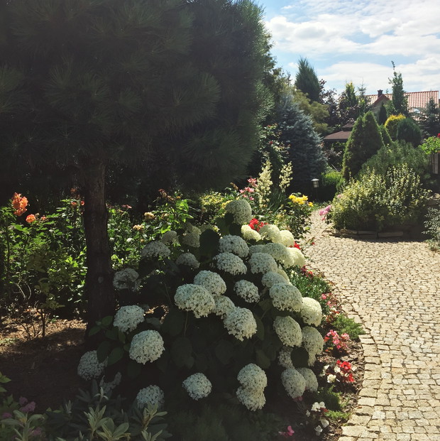 Ścieżka do oczka wodnego 