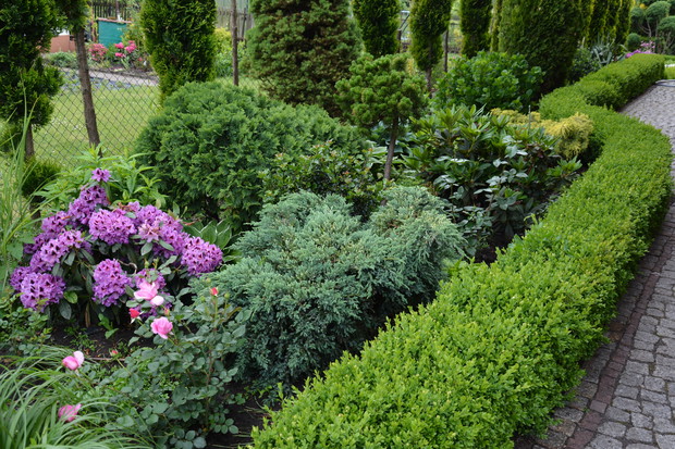 ścieżka wzdłuż domu