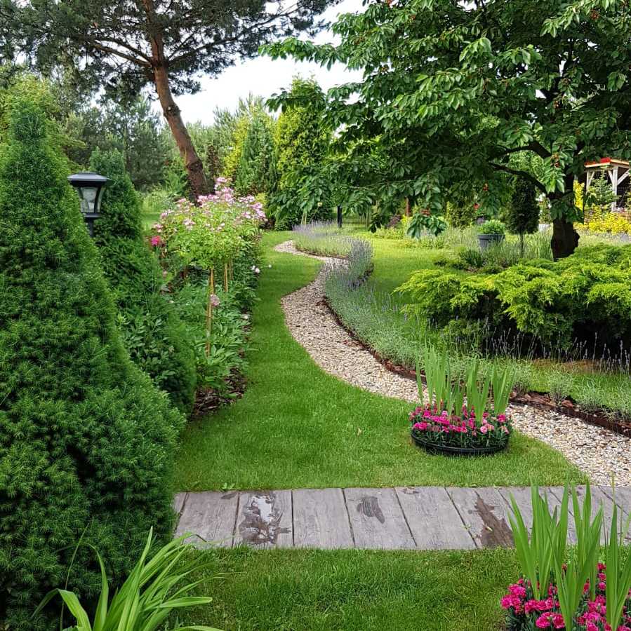 Ścieżki do tajemniczego świata roślin