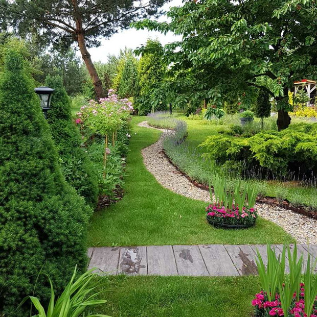 Ścieżki do tajemniczego świata roślin