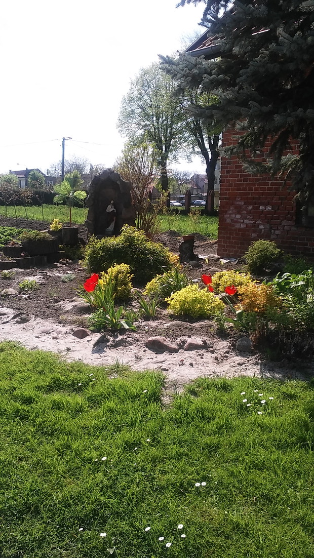 SKALNIAK  PRZY  DOMKU