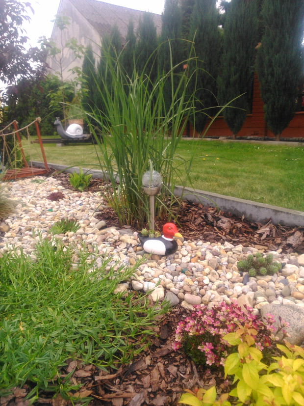 "Sucha rzeka" to świetny pomysł na urozmaicenie rabaty.