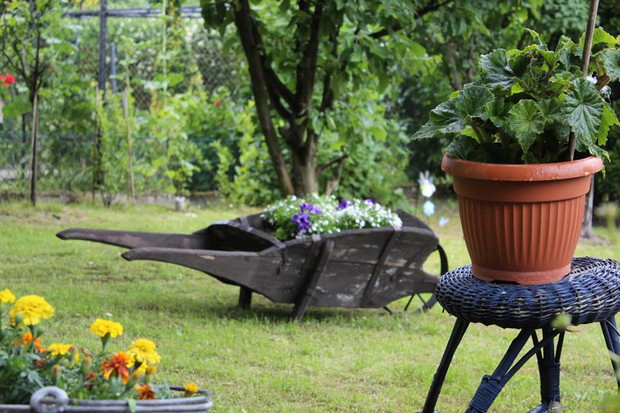 Taczka z kwiatami, po śląsku kara :) 